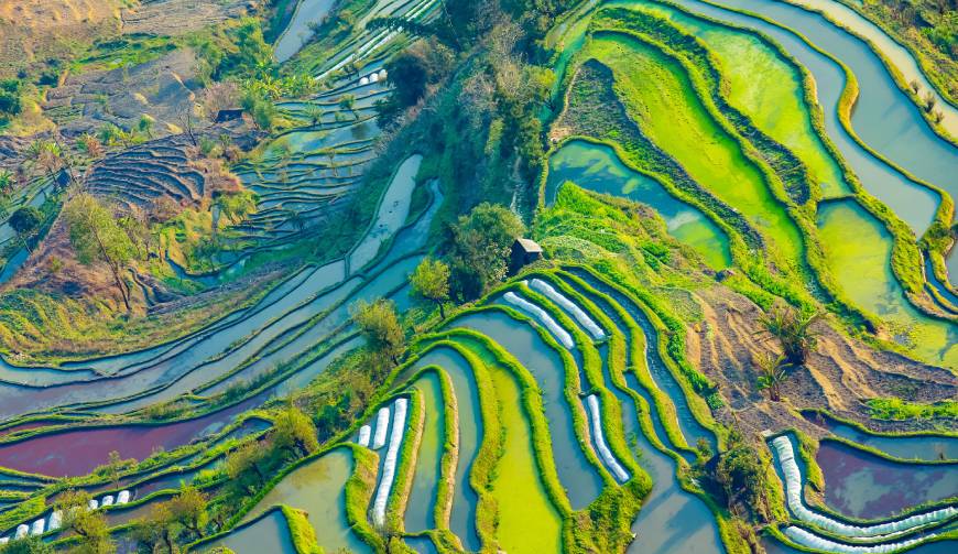走进沙依巴克区TVC拍摄：解锁本地化场景与创意镜头的完美融合